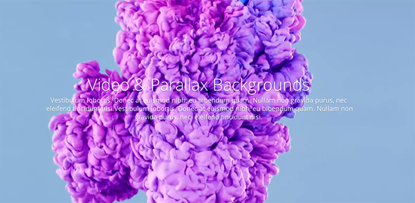 novage-web-design-large-images-videos