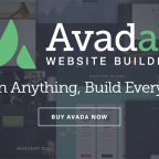 Avada Theme Review